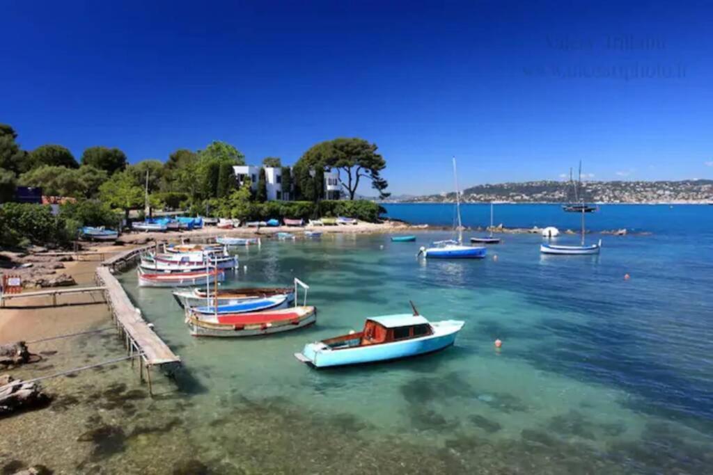 Coeur De Juan, Calme, 300M Plages - Easy Check-In Antibes Exteriér fotografie