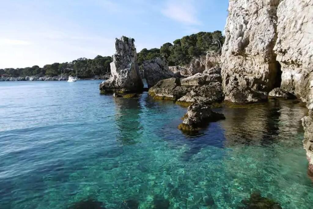 Coeur De Juan, Calme, 300M Plages - Easy Check-In Antibes Exteriér fotografie