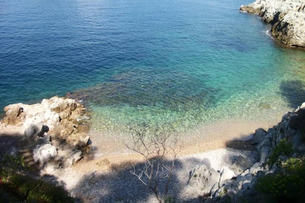 Coeur De Juan, Calme, 300M Plages - Easy Check-In Antibes Exteriér fotografie